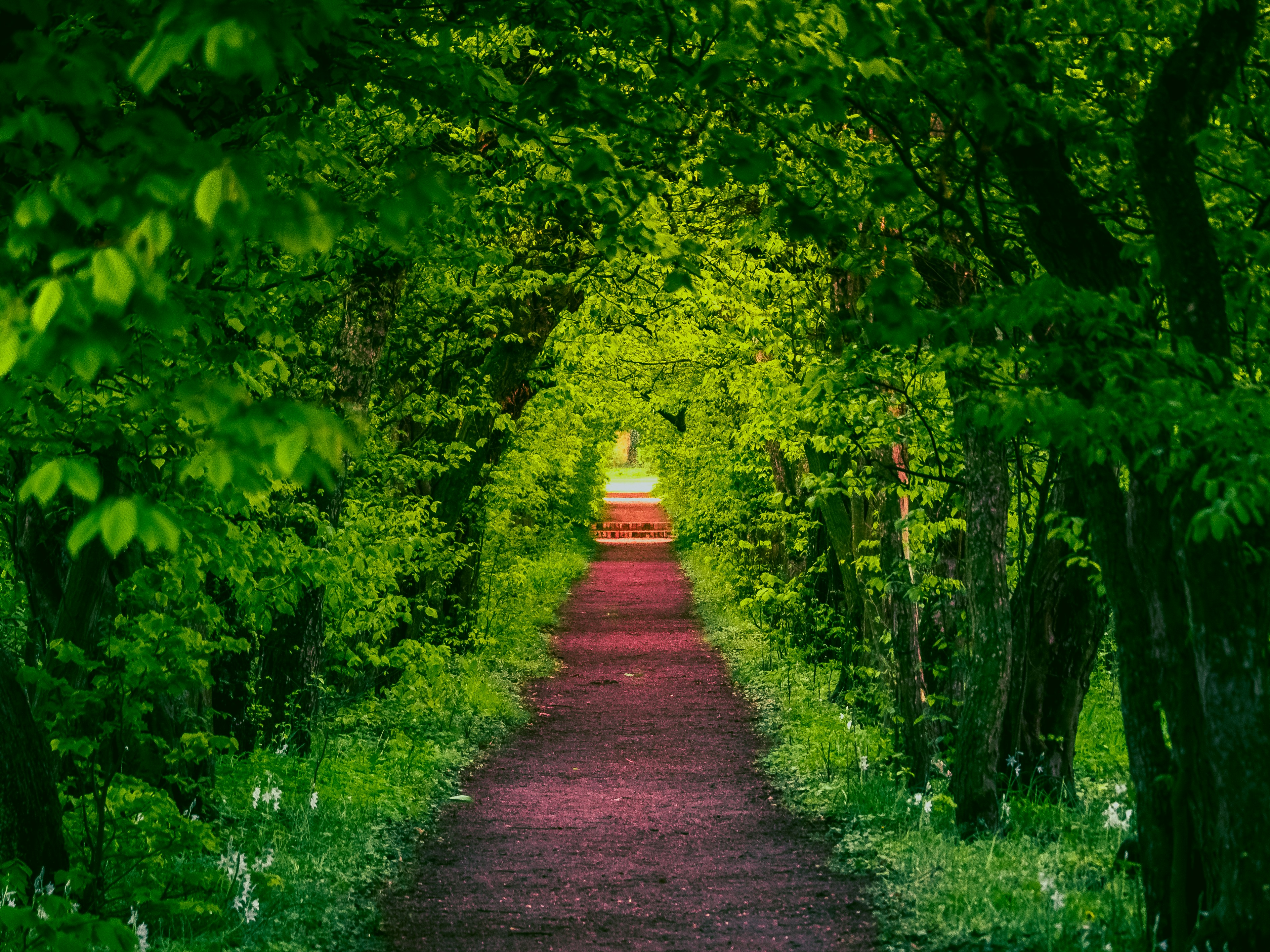 photo 1511825334888 c63a2e8bbcaa?ixlib=rb 4.0