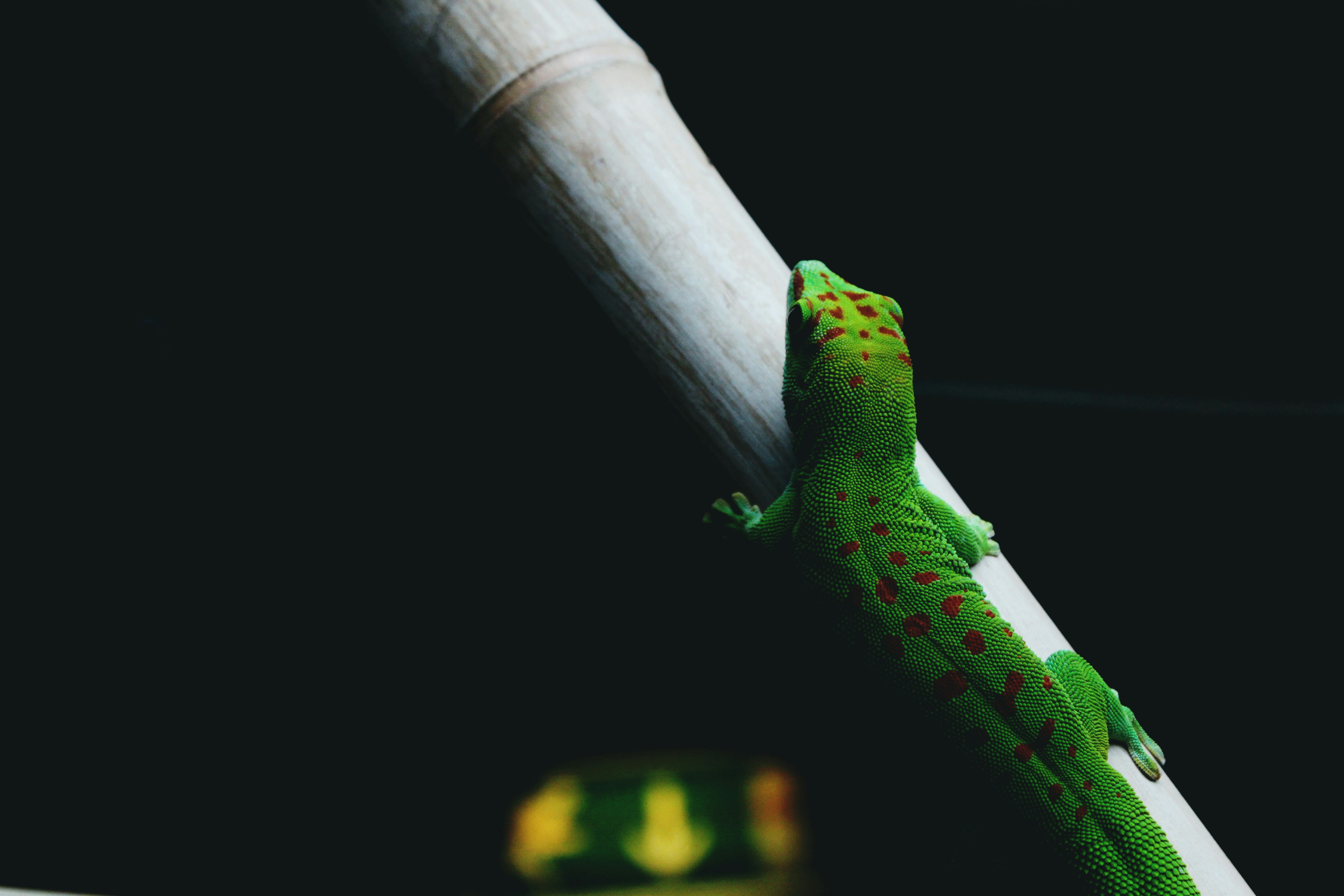 Handling Isn&rsquo;t Always Welcome (image credits: unsplash)