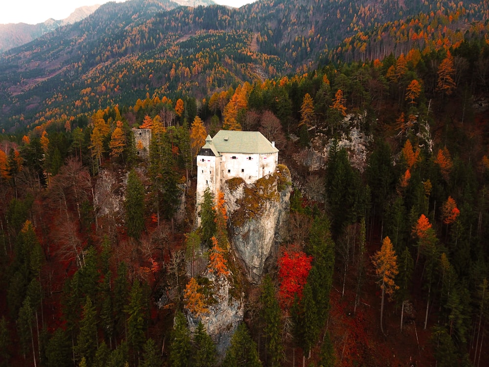 white concrete house on hill surrounded by pine trees