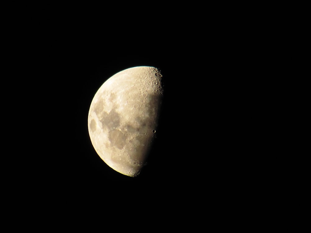 photo of moon