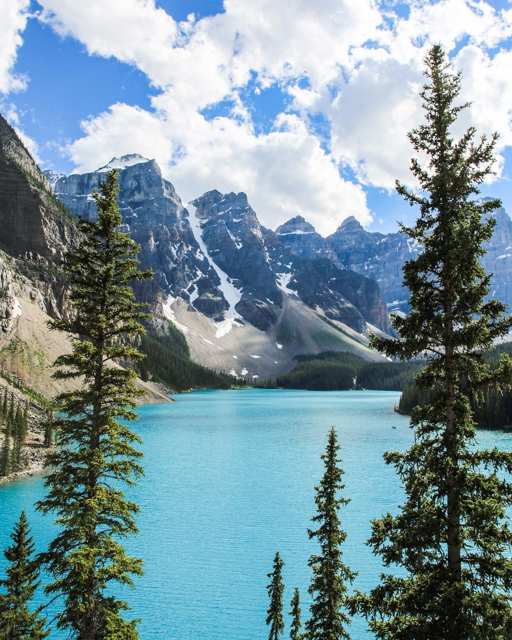 lake surrounded with pine trees