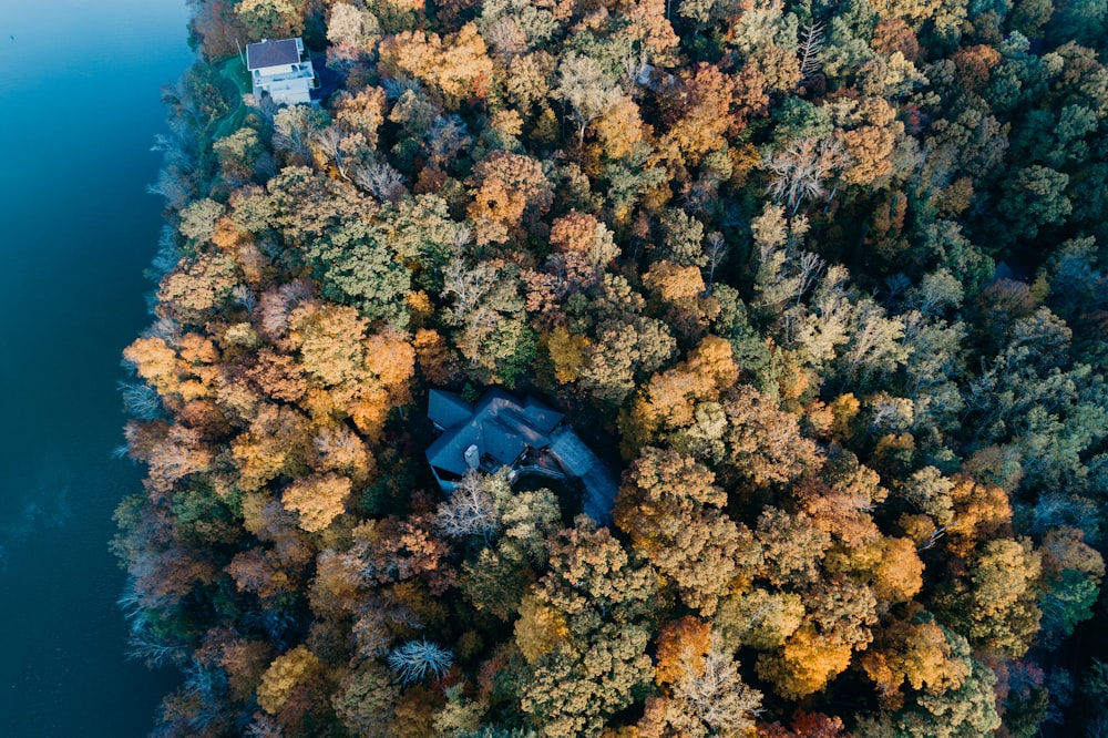 an aerial view of a house surrounded by trees