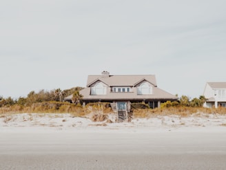 house surrounded with trees