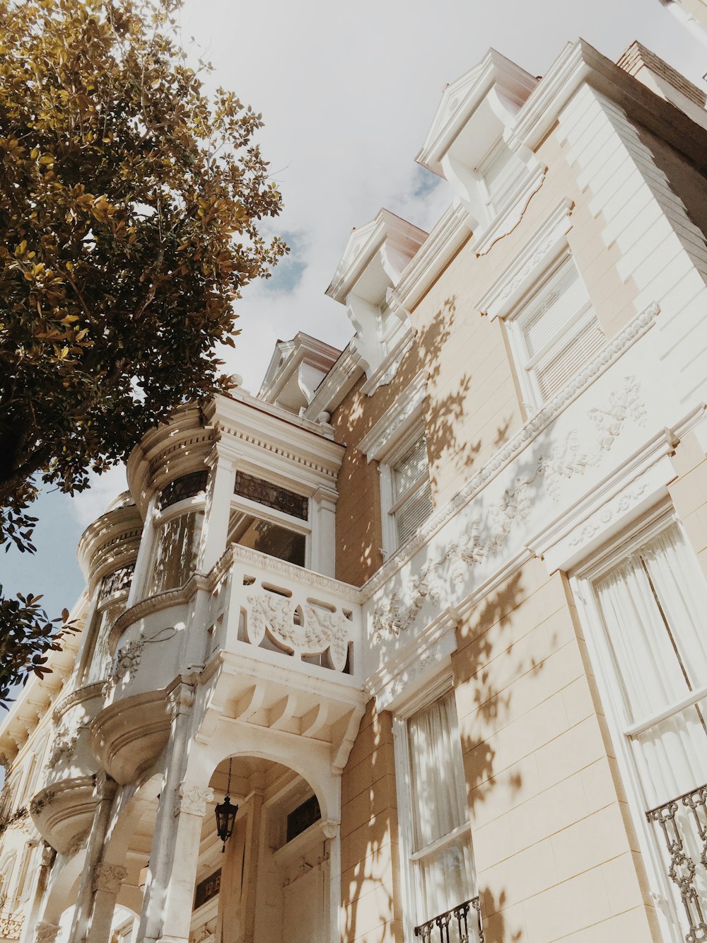 edificio in cemento dipinto bianco vicino all'albero in fotografia ad angolo basso