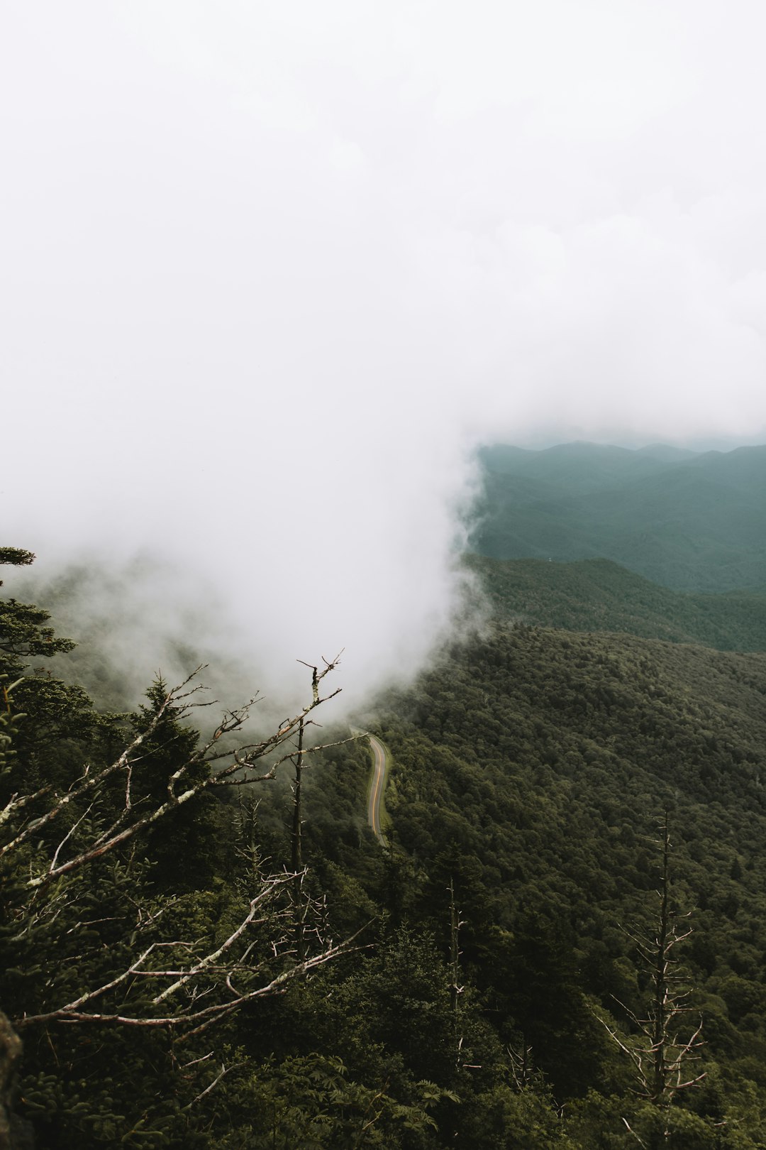 Hill station photo spot Great Smoky Mountains Gatlinburg