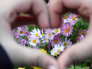 A close-up of hands holding a heart symbol made of flowers.