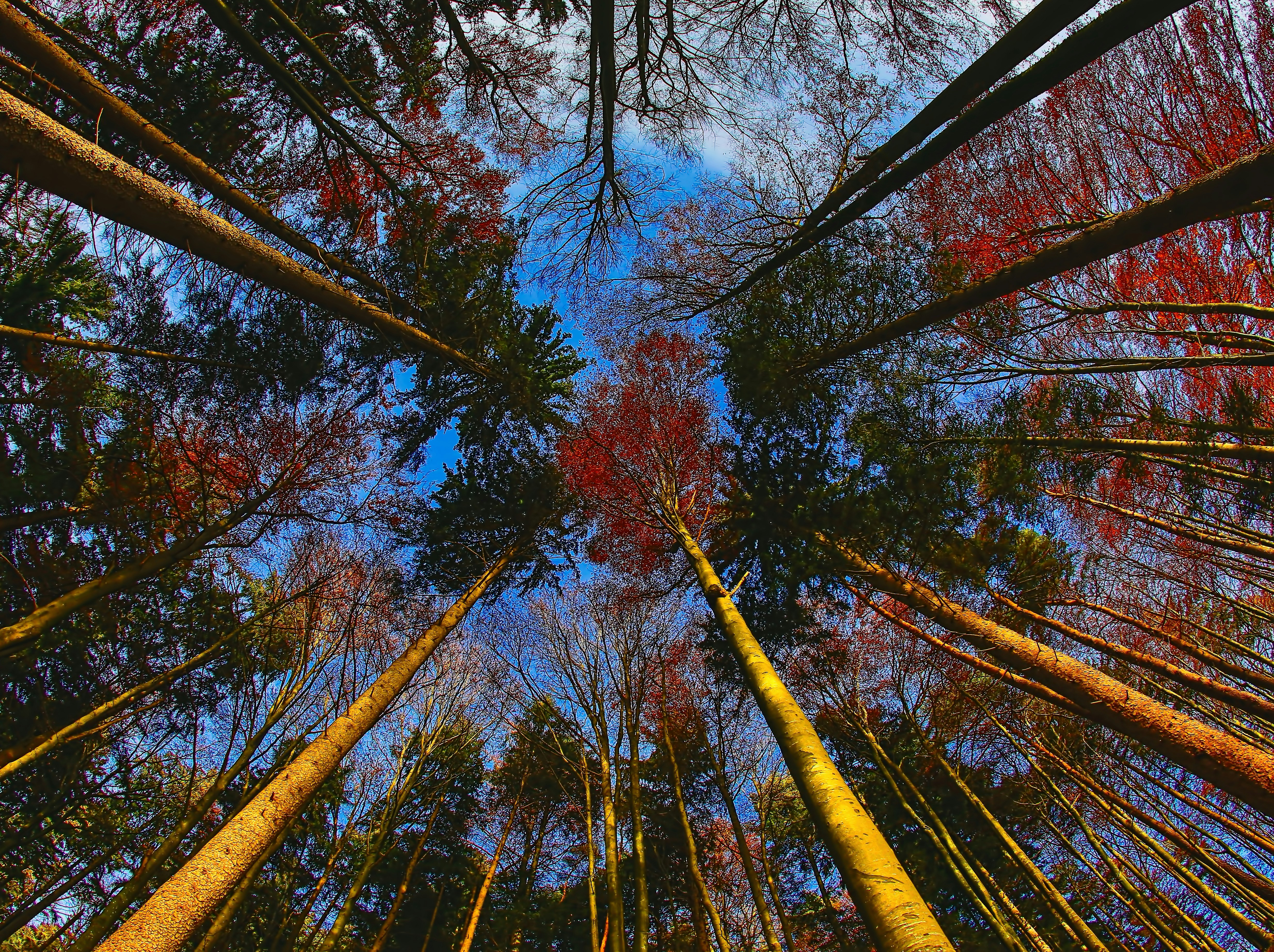 Photo by rgaleriacom