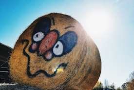 A large hay bale with a humorous face painted on it, featuring exaggerated eyes and a comical expression. The bale sits in a sunny field with the bright sun shining in the background.