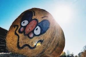 A large hay bale with a humorous face painted on it, featuring exaggerated eyes and a comical expression. The bale sits in a sunny field with the bright sun shining in the background.