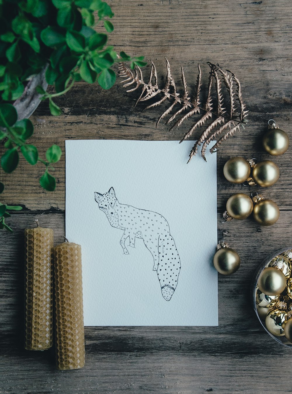 polka-dot fox illustration