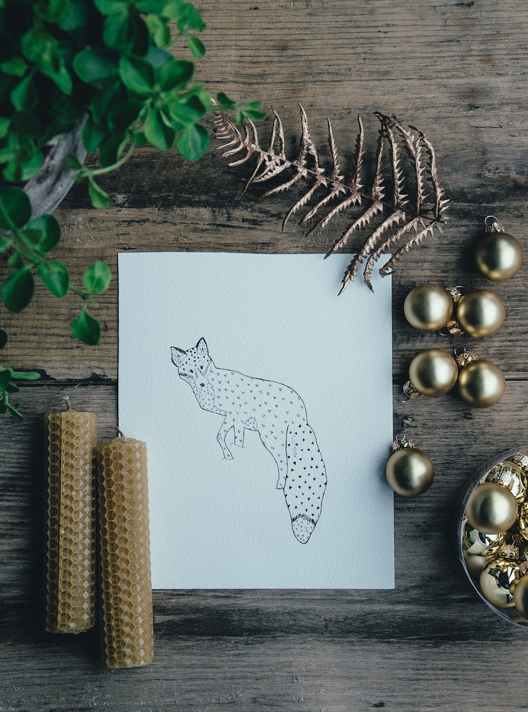 polka-dot fox illustration