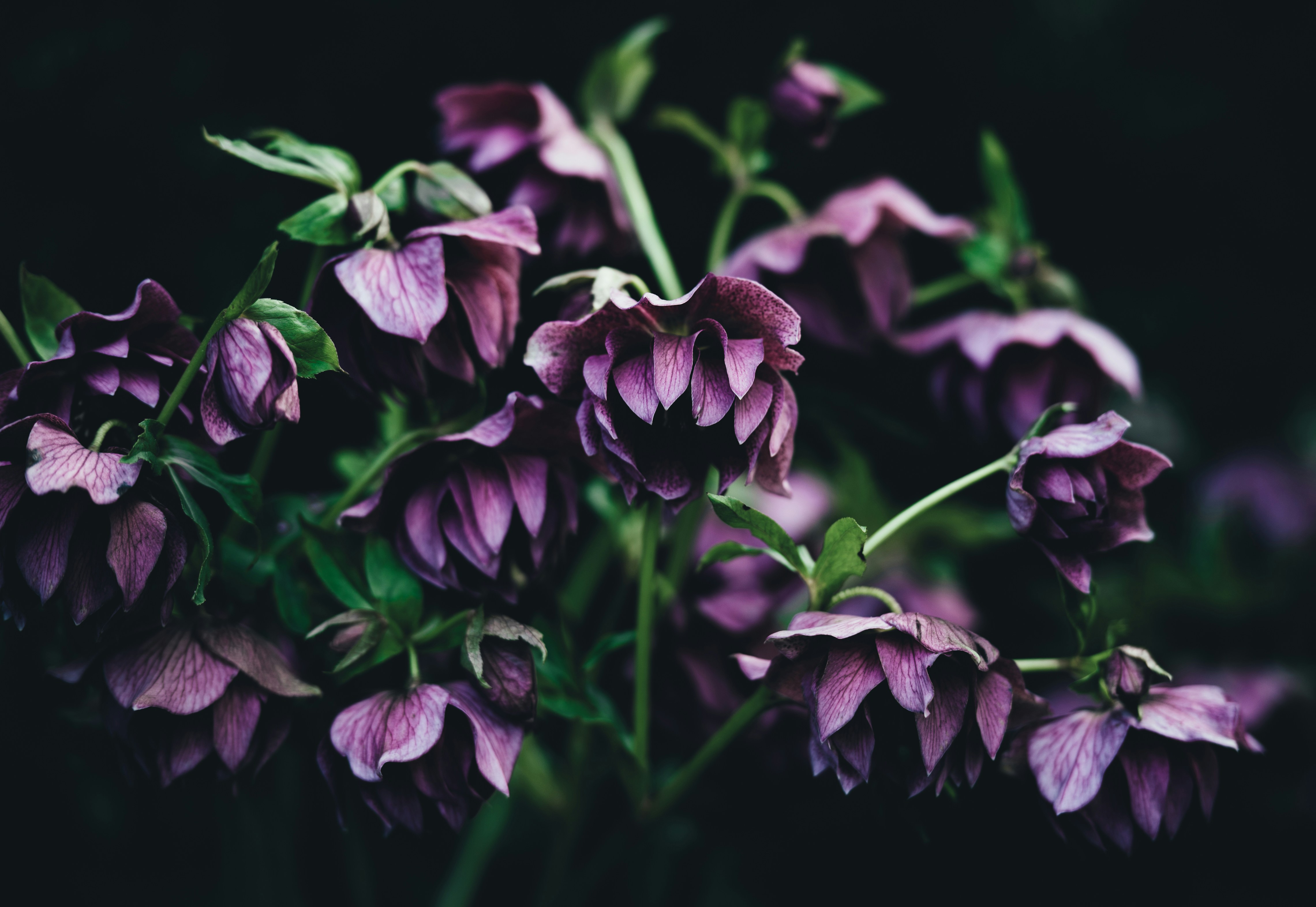 Photo by anniespratt