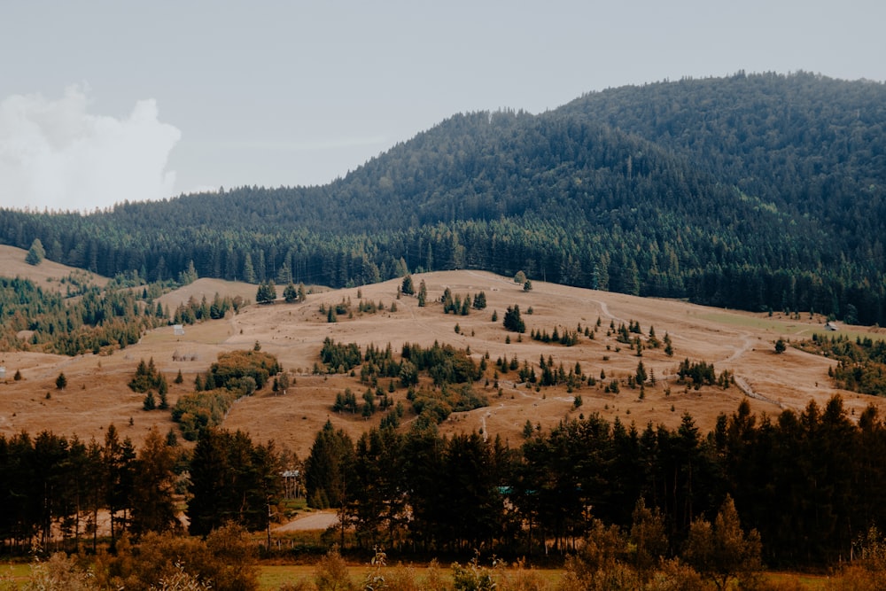 Photographie de vue aérienne de la chaîne de montagnes