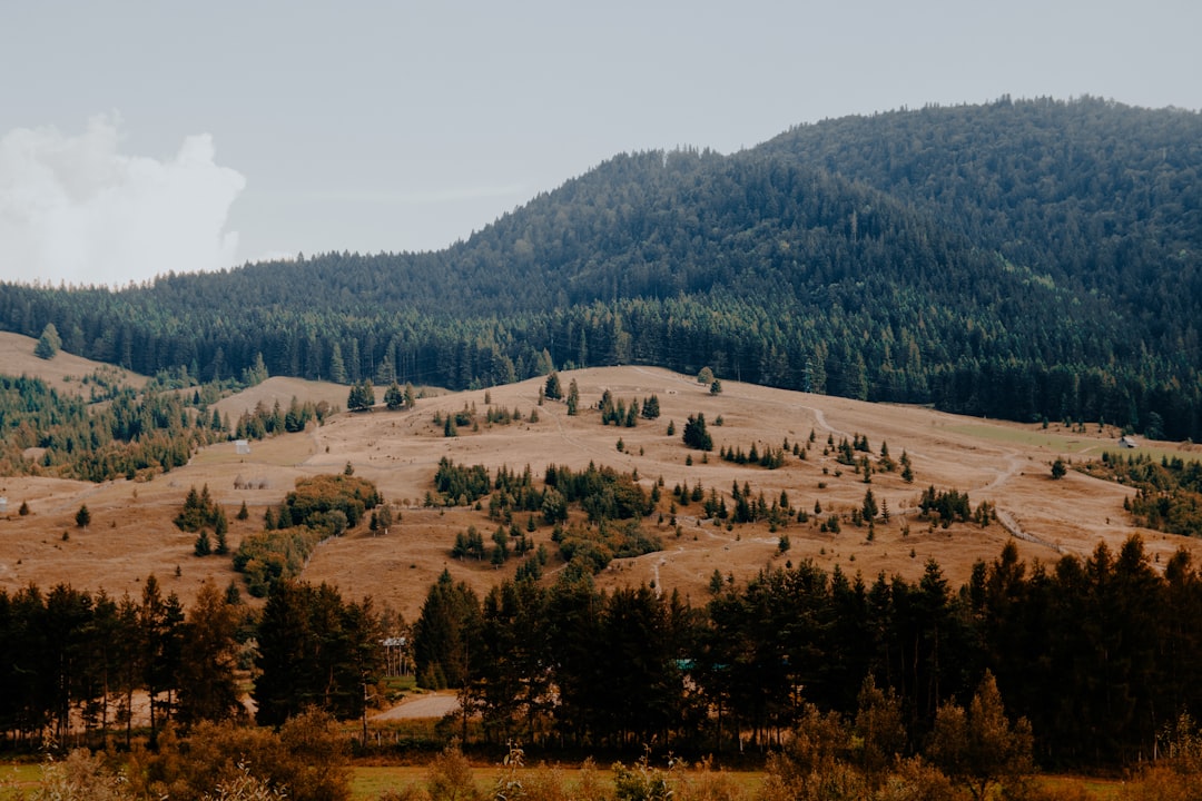 Hill photo spot Vatra Dornei Romania