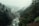 aerial shot of forest