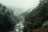 aerial shot of forest