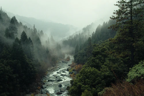 Rivière au fond d'une vallée boisée noyée de brume