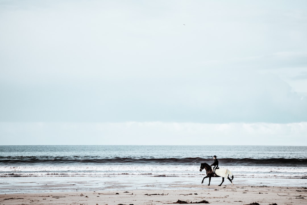 travelers stories about Beach in Dunnet Beach, United Kingdom