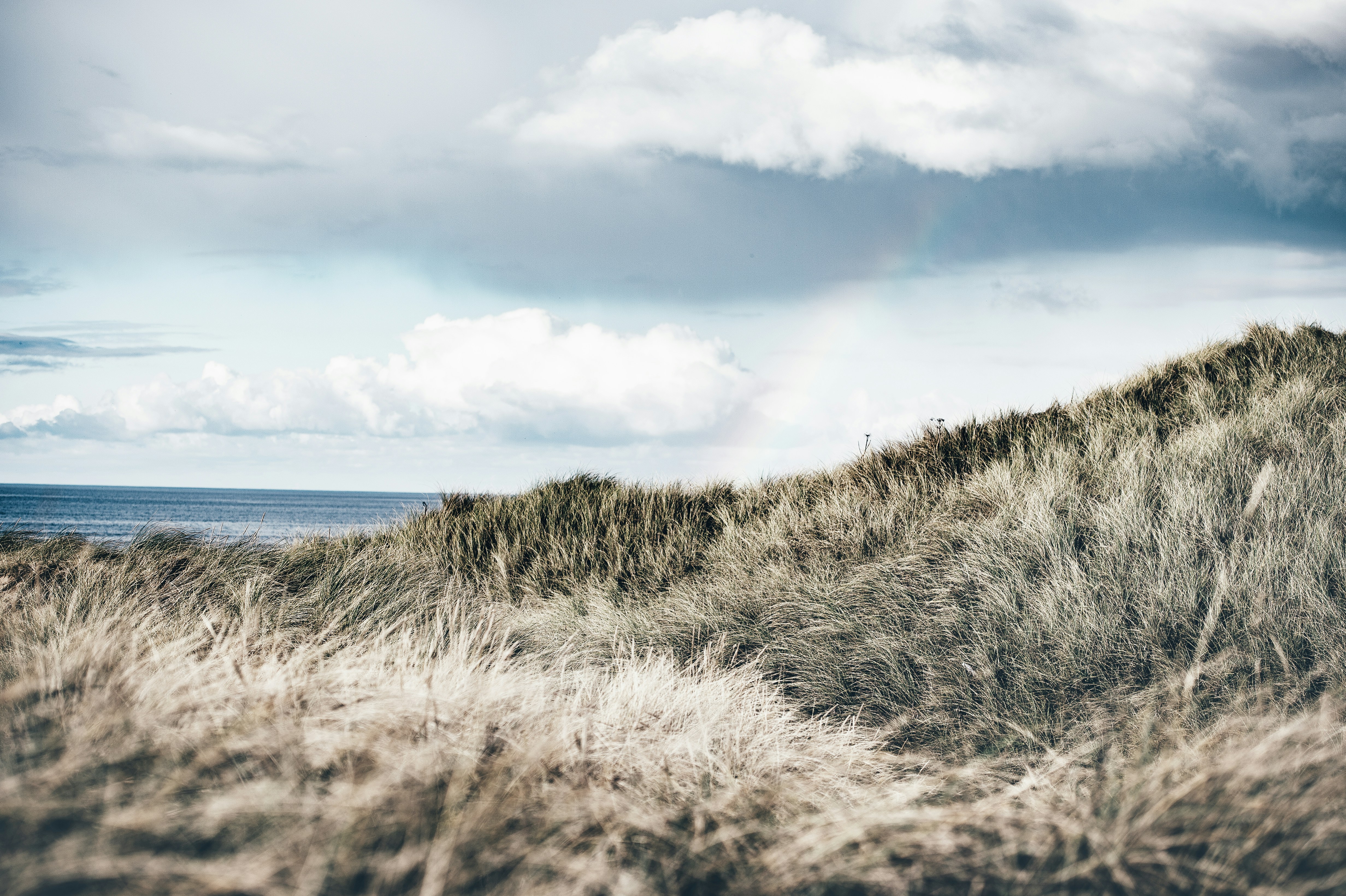 Photo by anniespratt