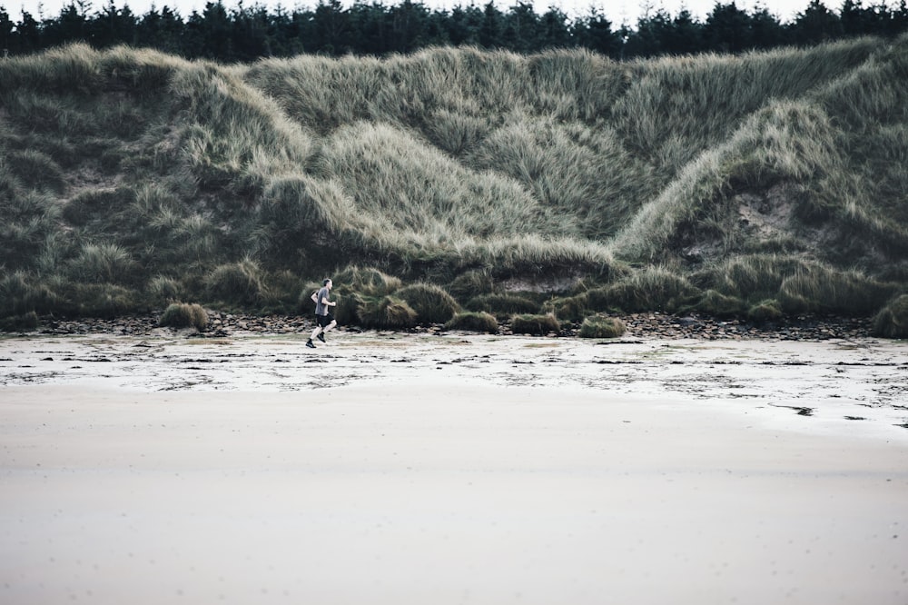 person jogging on shore