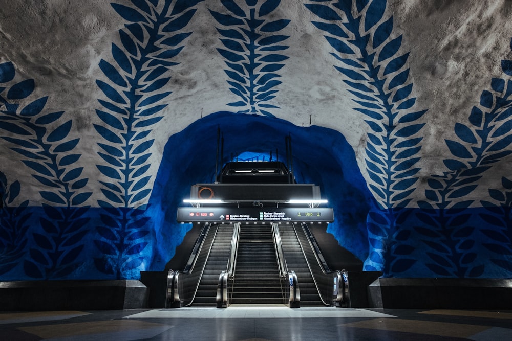 blue and white foliage building interior with escalator