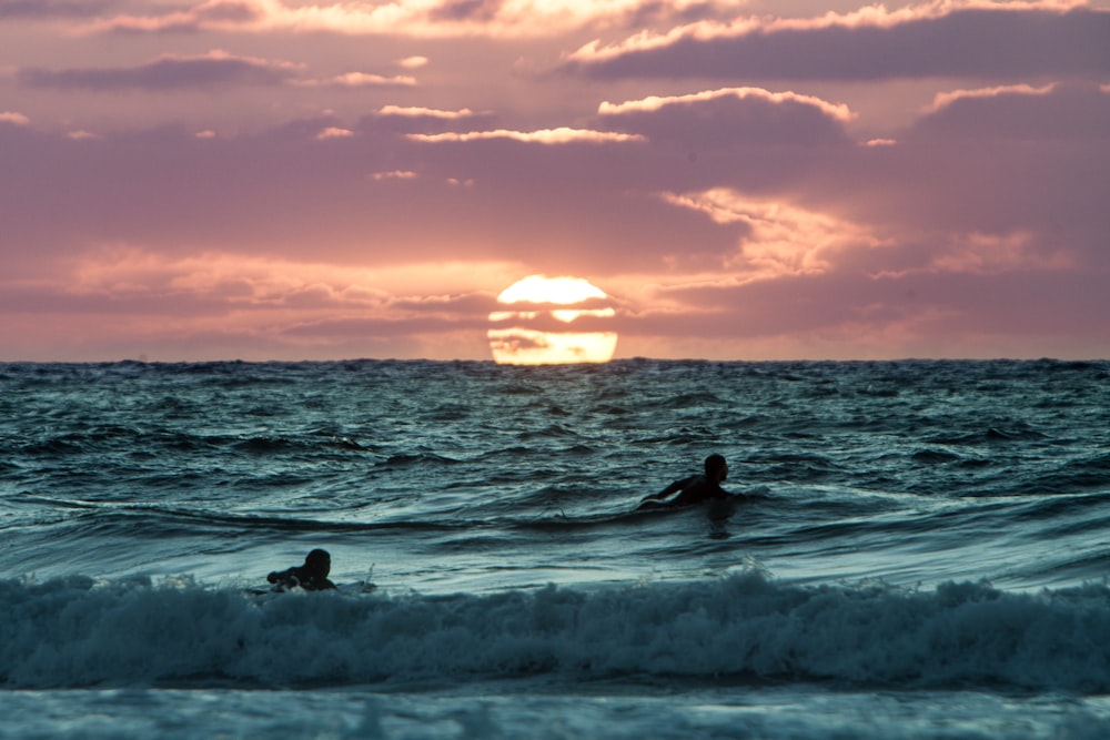 two person swimming on body of water during golden hour