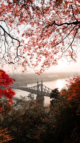 landscape photography of gray concrete bridge