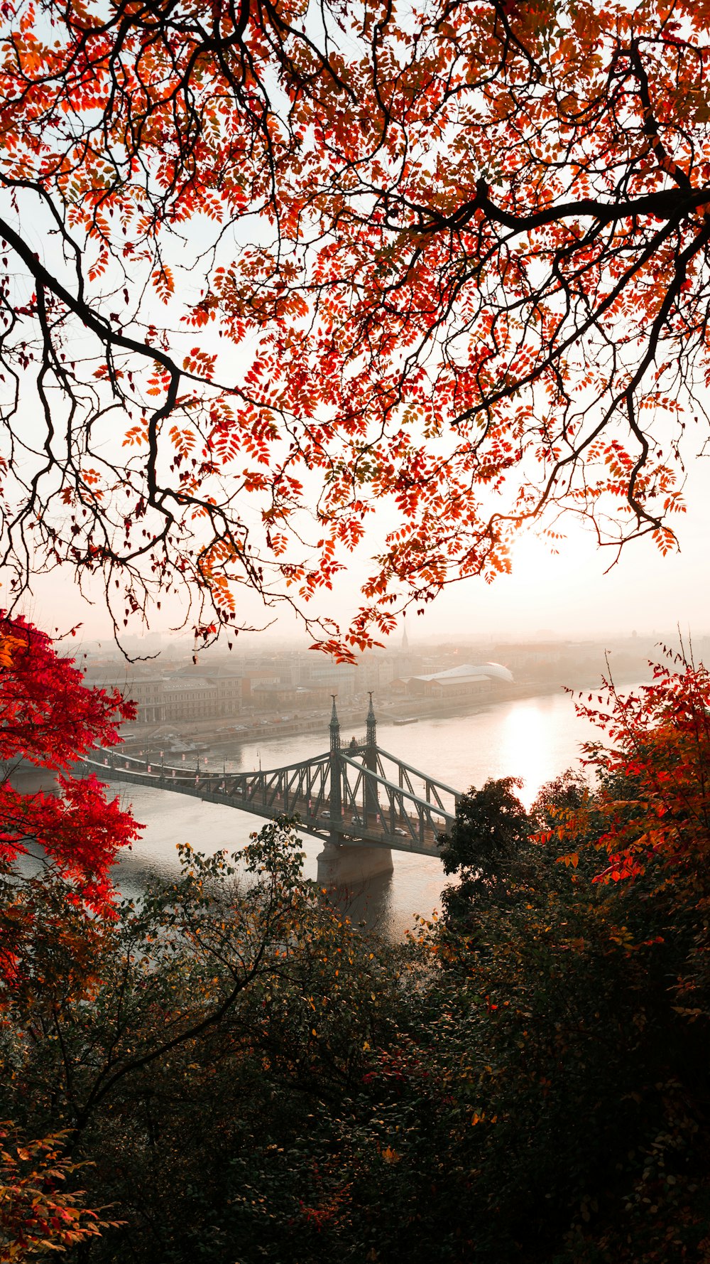 Fotografía de paisaje de puente de hormigón gris