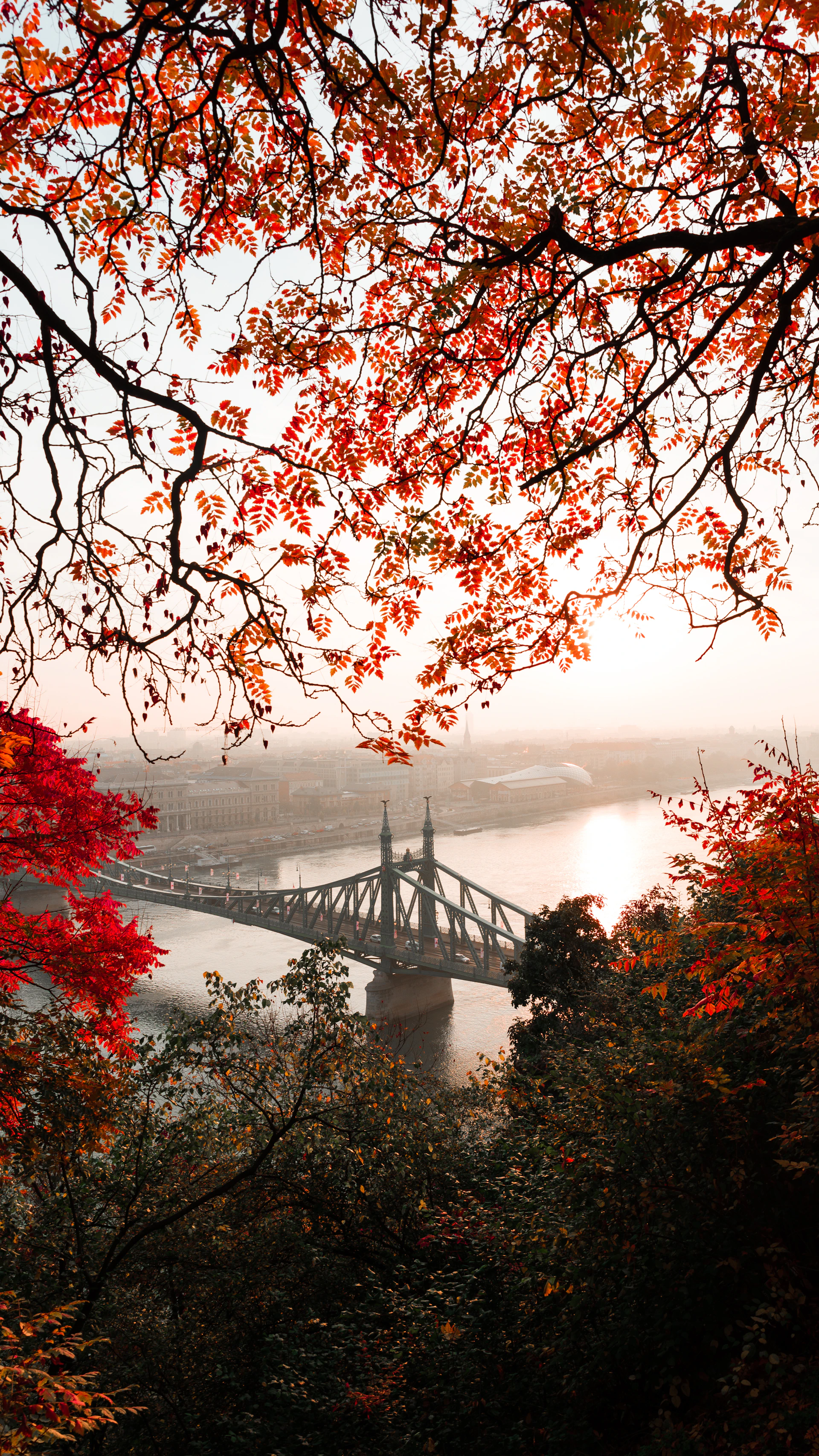 landscape photography of gray concrete bridge