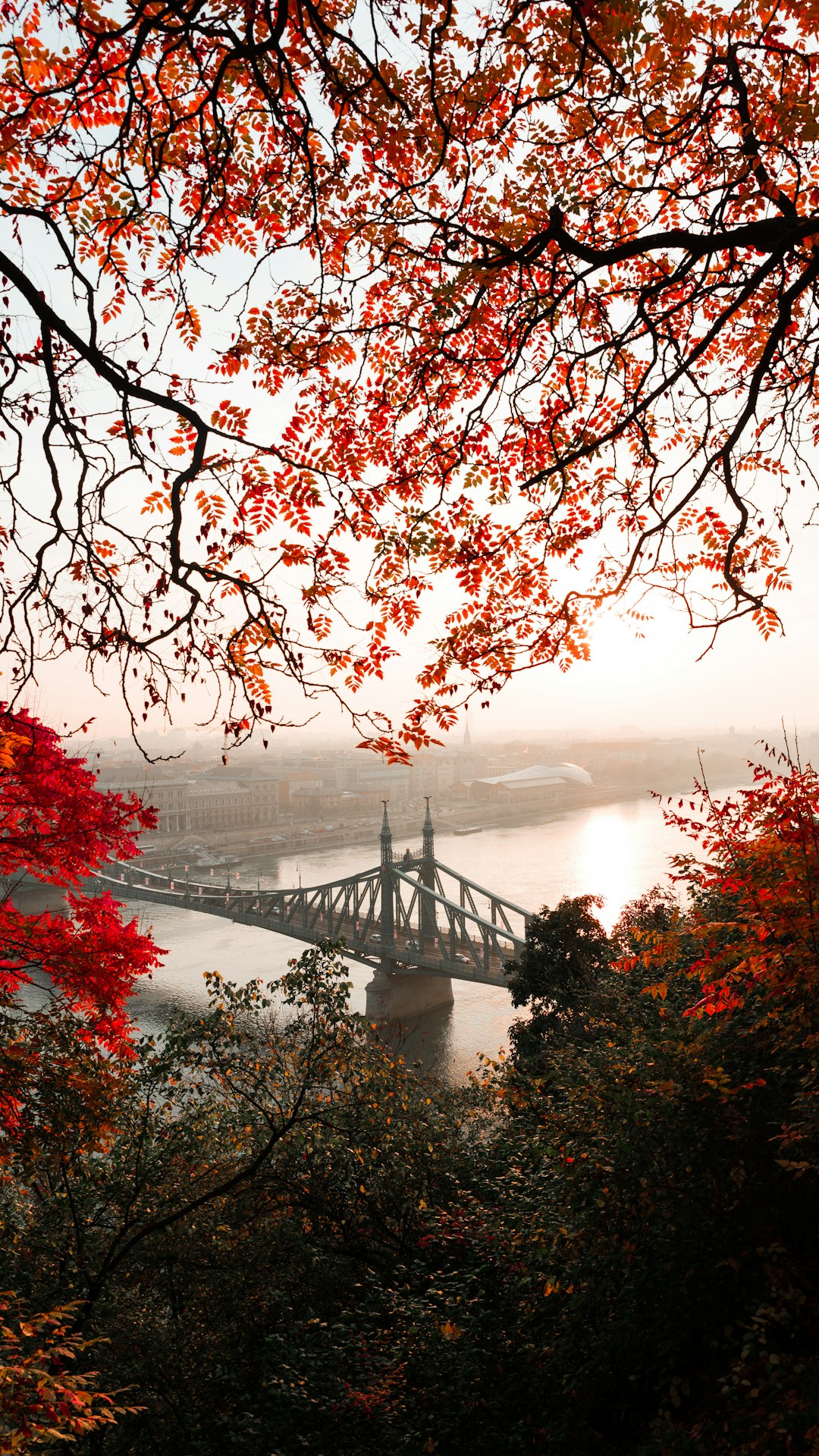 Natural landscape photo spot Citadella Hungarian Parliament Building