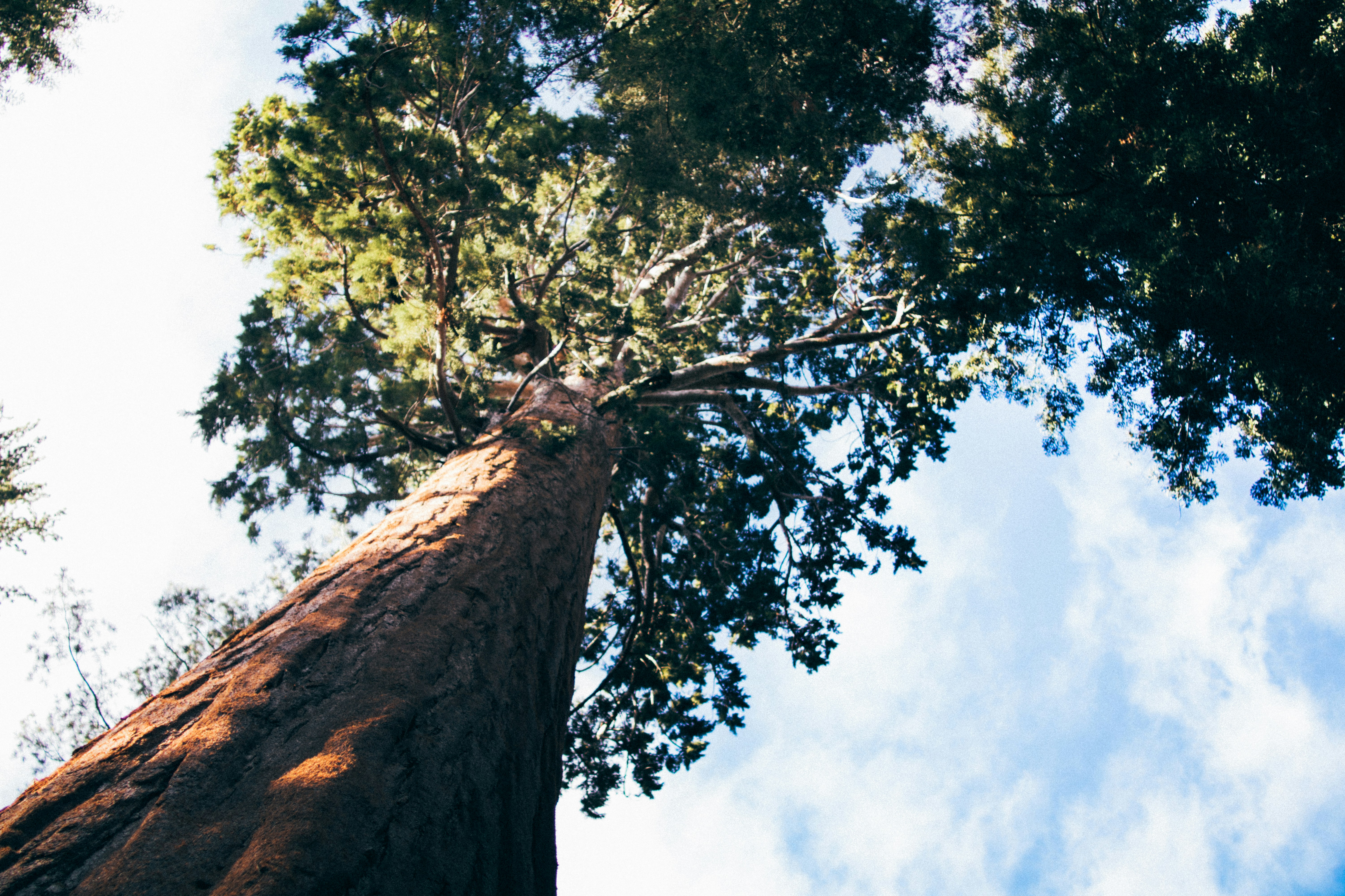 Self-Stabilization: Systems That Recover From Any State