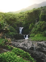 water falls on forest