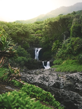 water falls on forest