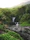 water falls on forest