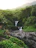 water falls on forest