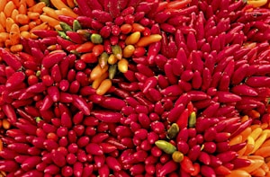 yellow and red chilis