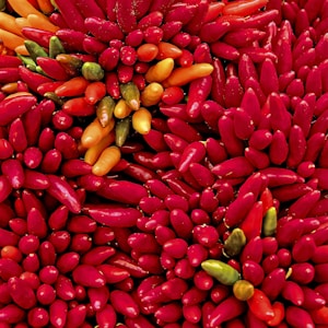 yellow and red chilis