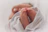 Pregnancy coaching Budapest 