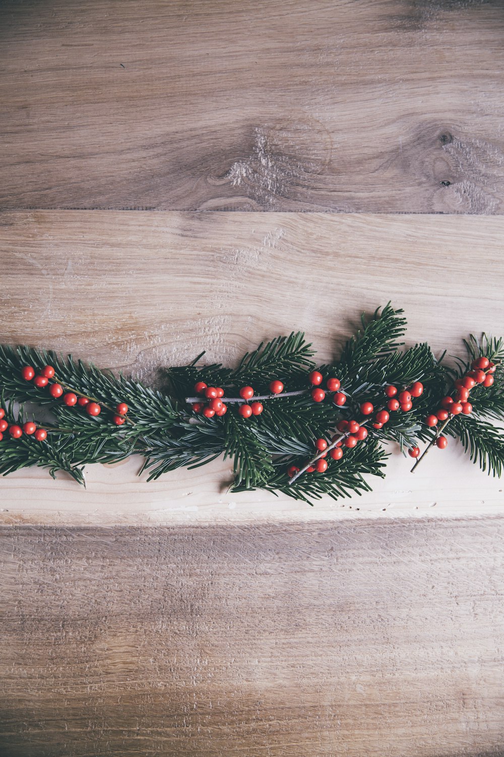 grün-rotes Christbaumblatt auf braunem Boden