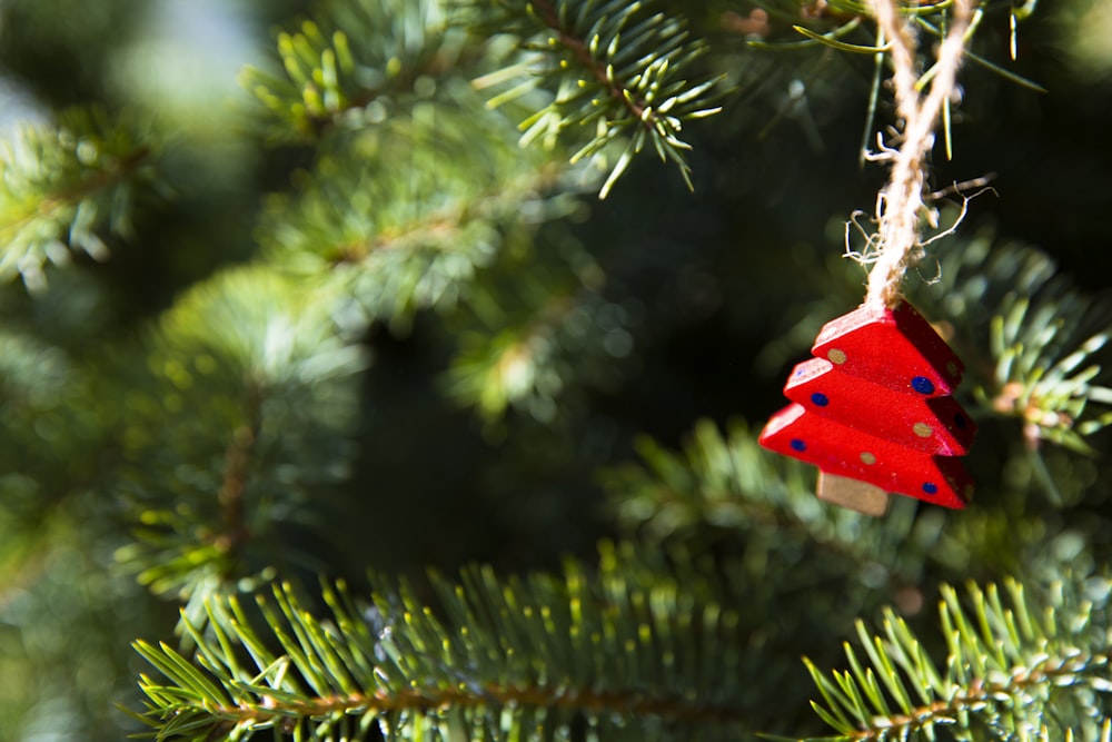 Foto de enfoque superficial del adorno rojo del árbol de Navidad