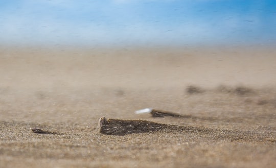 selective focus photography of sand in Scheveningen Netherlands