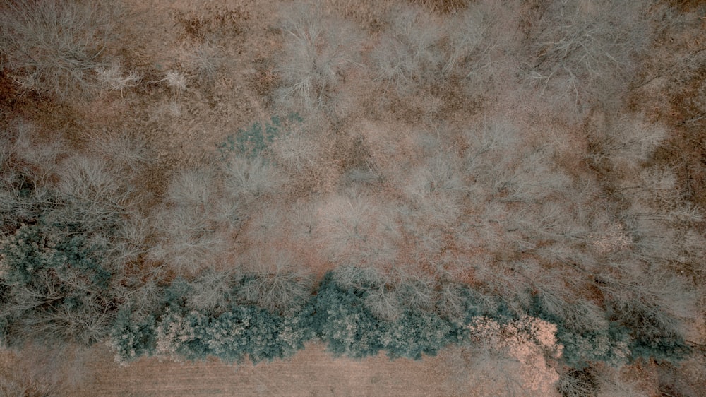 an aerial view of a tree covered area