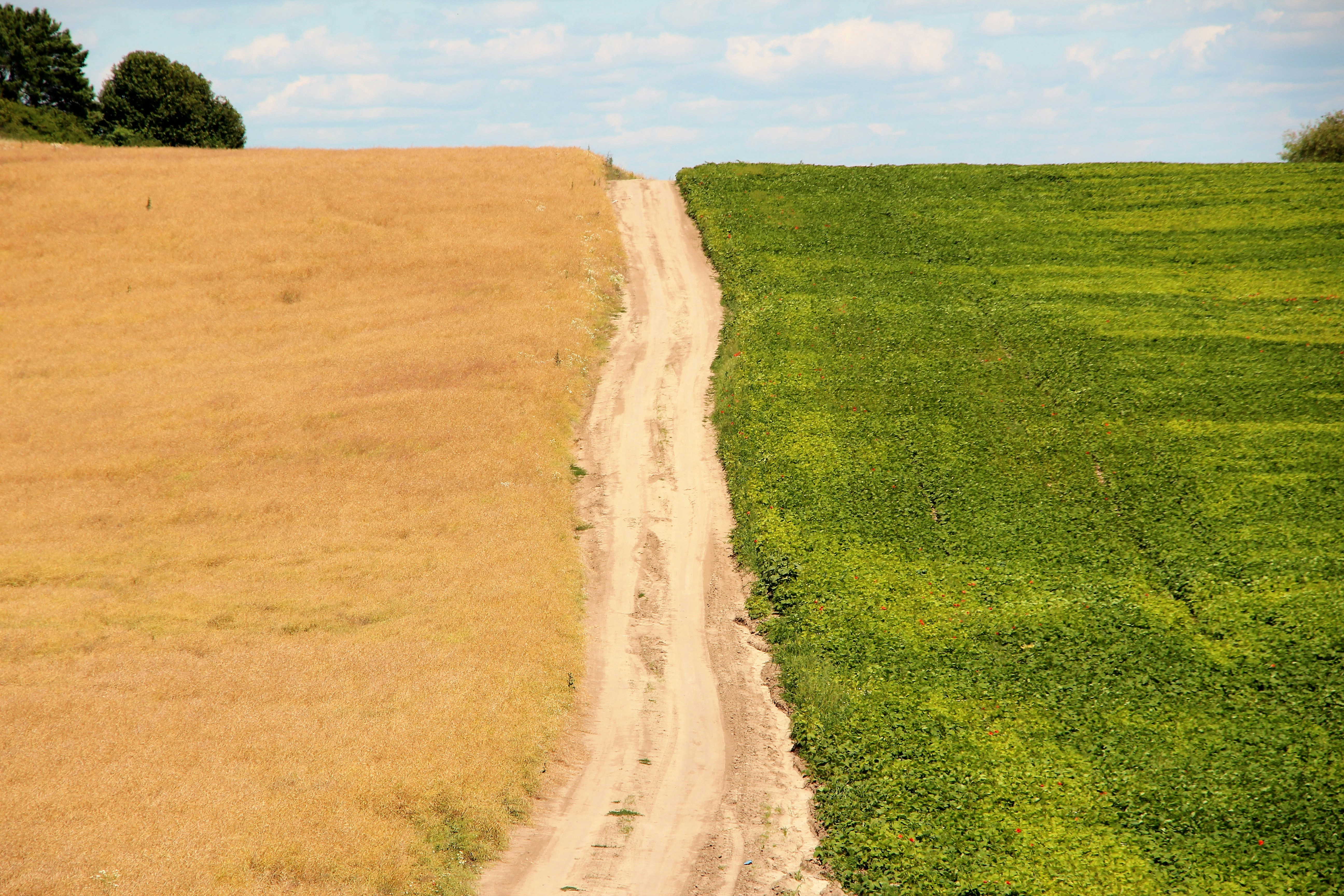 Photo by alex_povolyashko