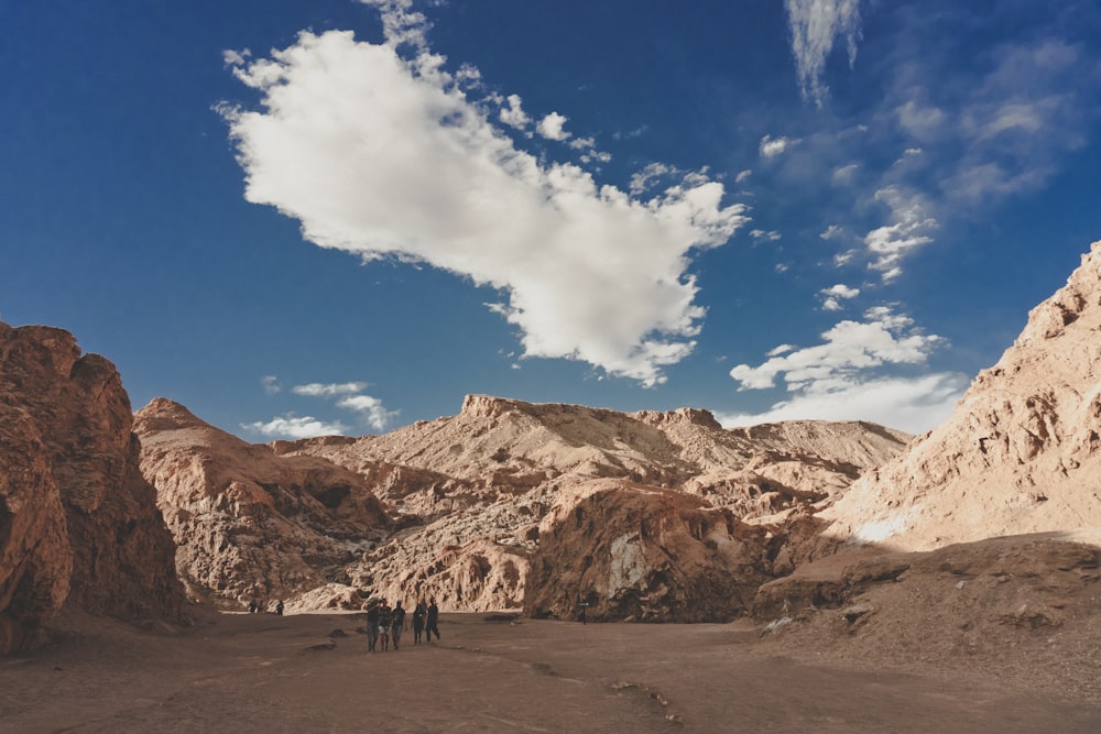 group of people standing between mountains during day time