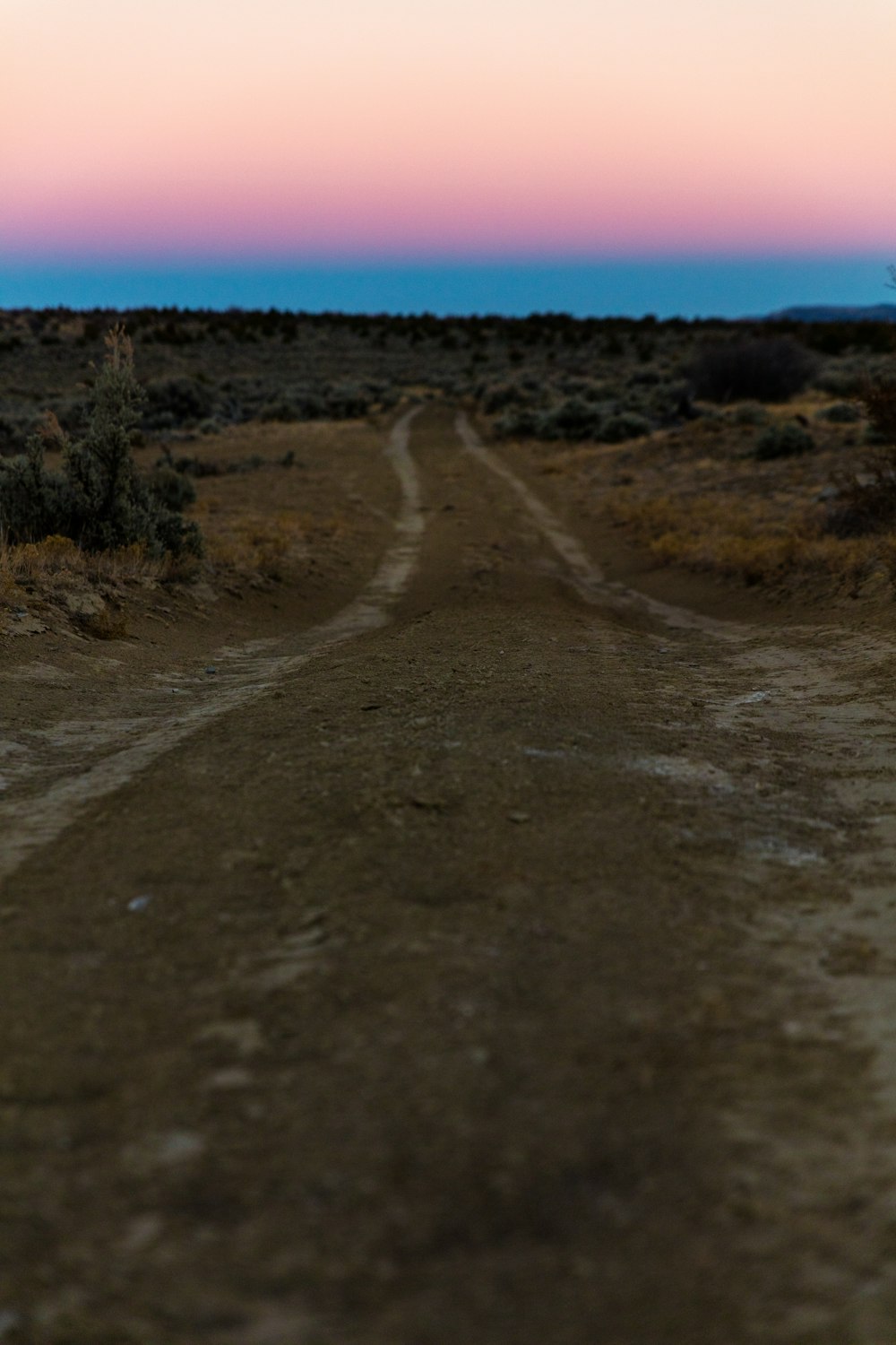 footpath between grass during blue hour