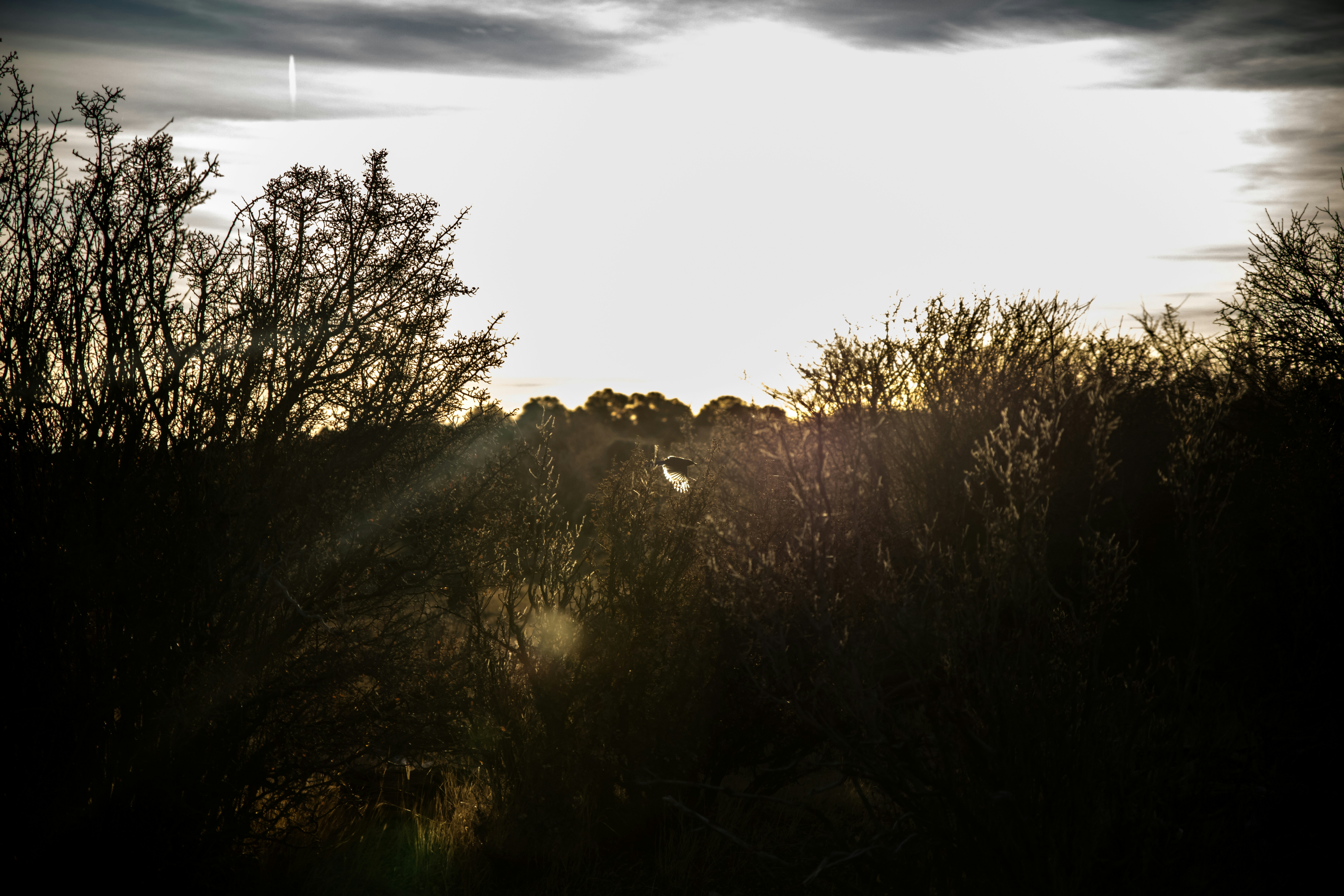 Photo by worldsbetweenlines