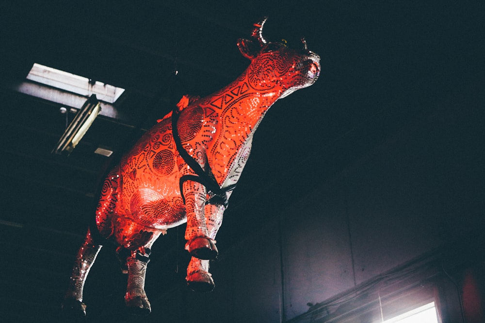 animal rouge et noir accroché au plafond à l’intérieur de la chambre