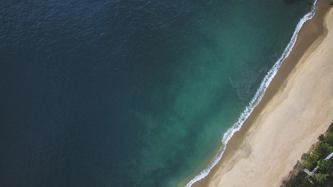 aerial view of beach and trees, Aerial view of Toque-Toque Pequeno - São Paulo