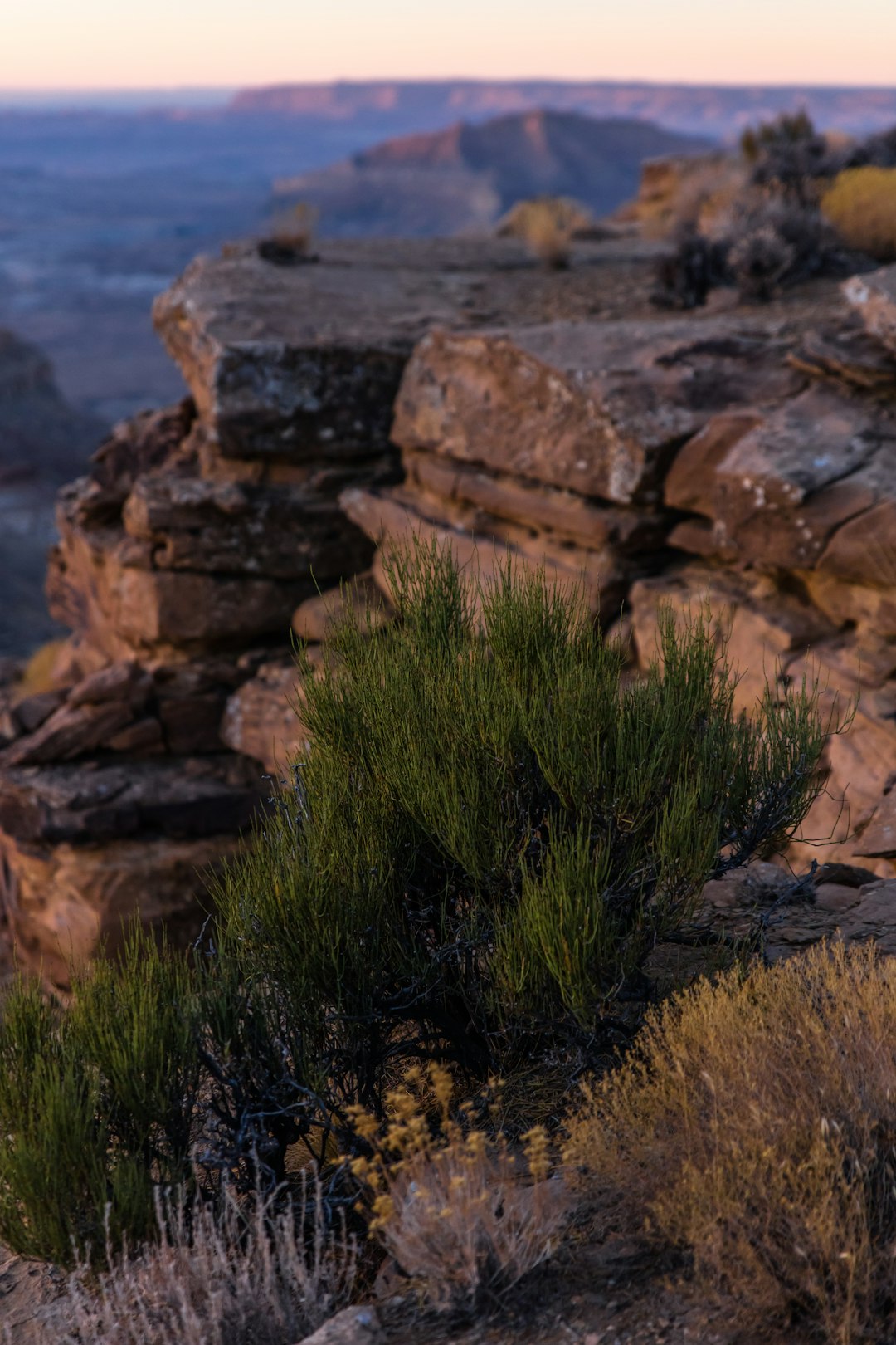 green grass near brown rock formation during daytime