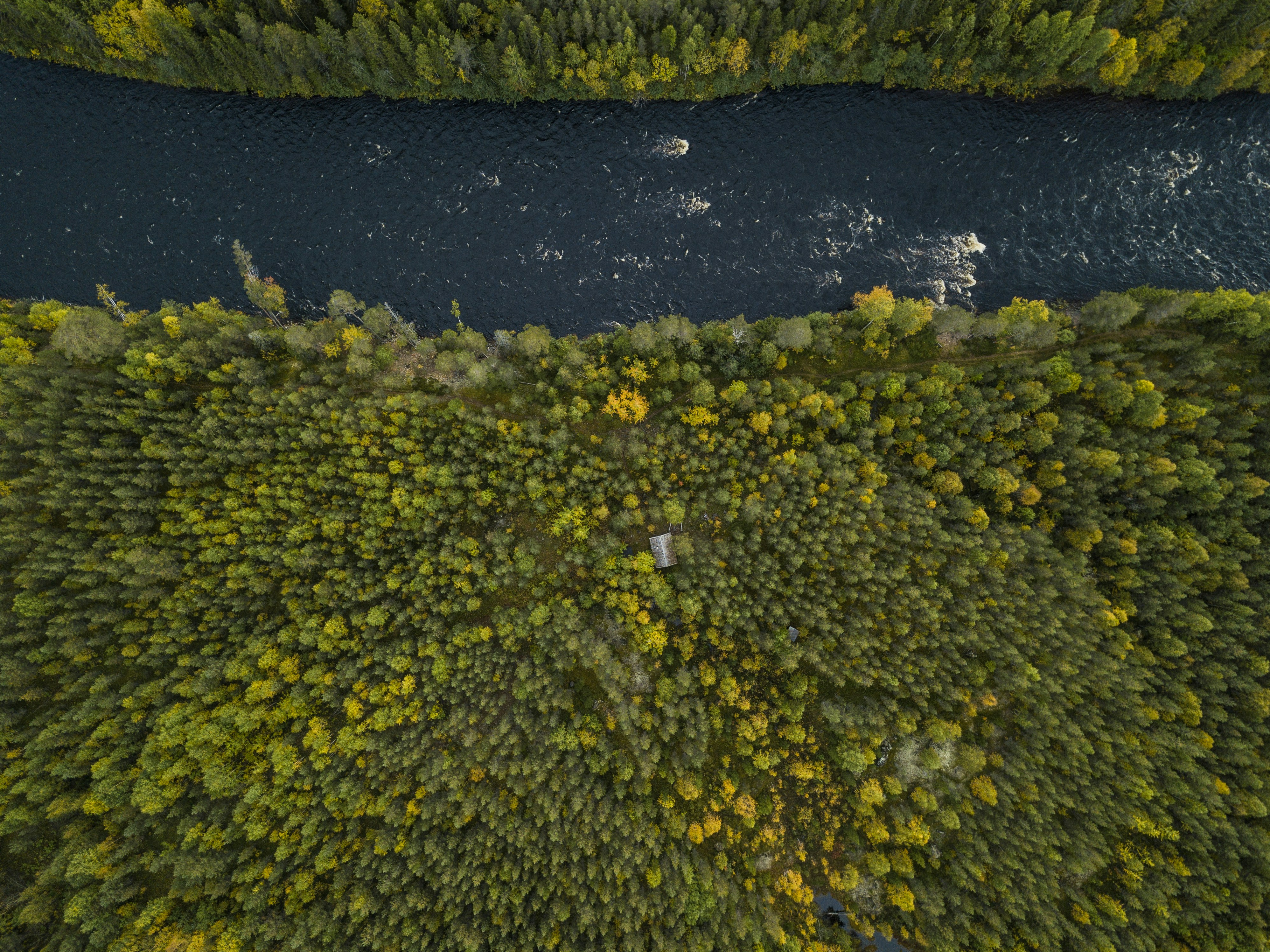 Photo by hendrikmorkel